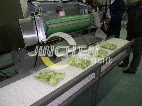 塑鋼網(wǎng)帶輸送機